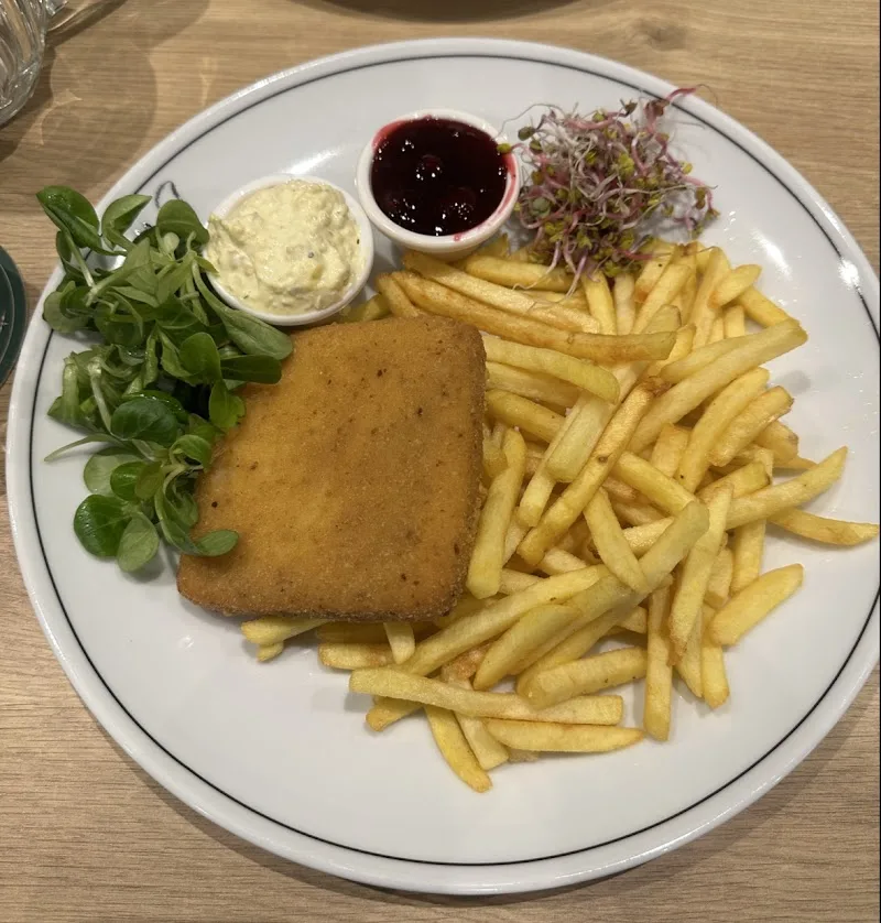 Restauracja Drevny Kocur Rynek Wrocław